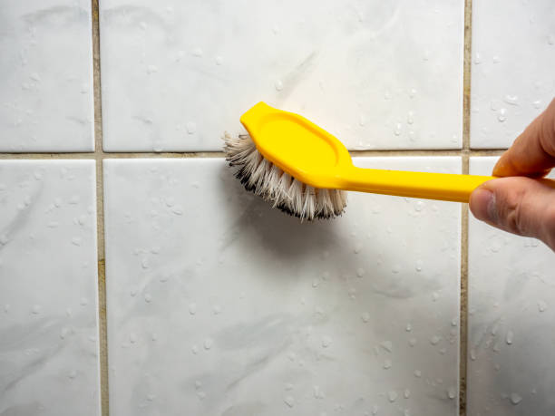 Best Commercial Mold Removal  in Mountain Brook, AL